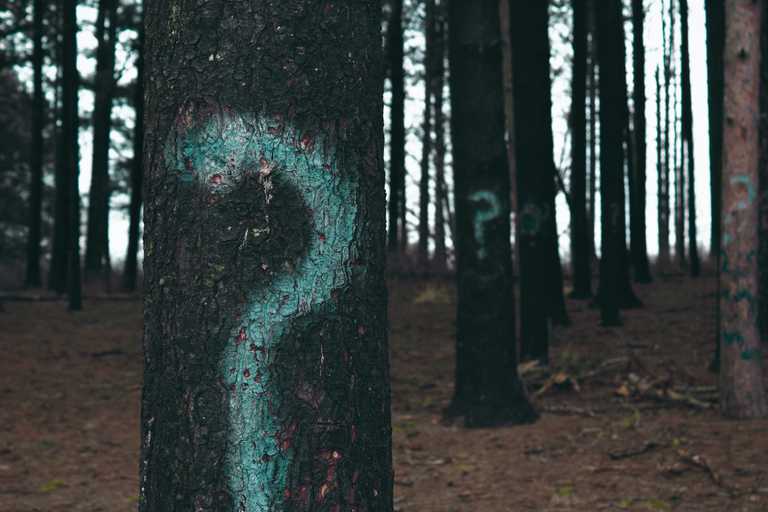 The Right Way to Estimate Issues for Remote Teams