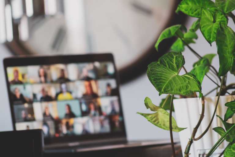 Learn about Remote Scrum Master Role