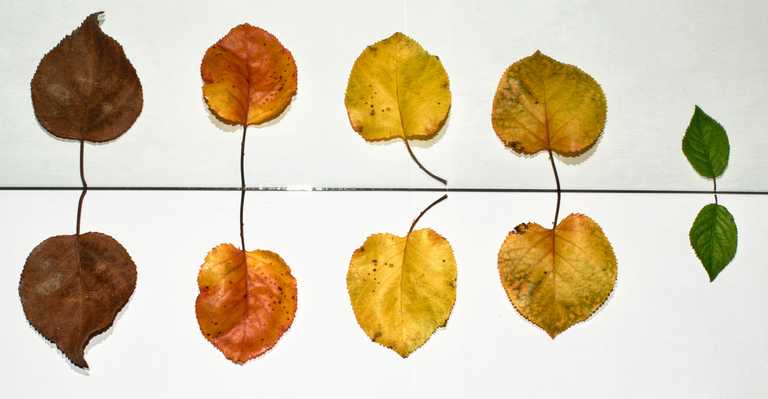There are 8 reasons to estimate with story points